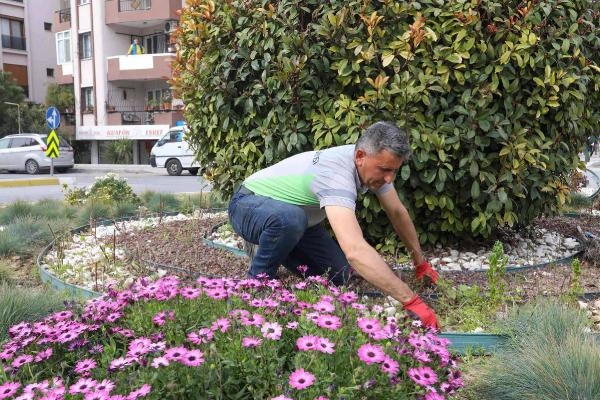 Buca'da parklar yenilendi! Oyun alanlarına yeni ağaçlar dikildi