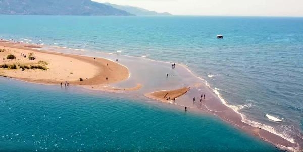 Carettaları korumada dünyaya örneğiz