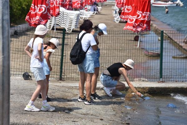 'Denizanalarından uzak durun'
