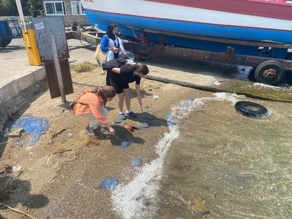 Denizanası yüzünden Foça plajları boş kaldı