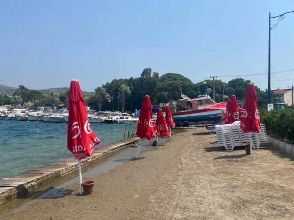 Denizanası yüzünden Foça plajları boş kaldı