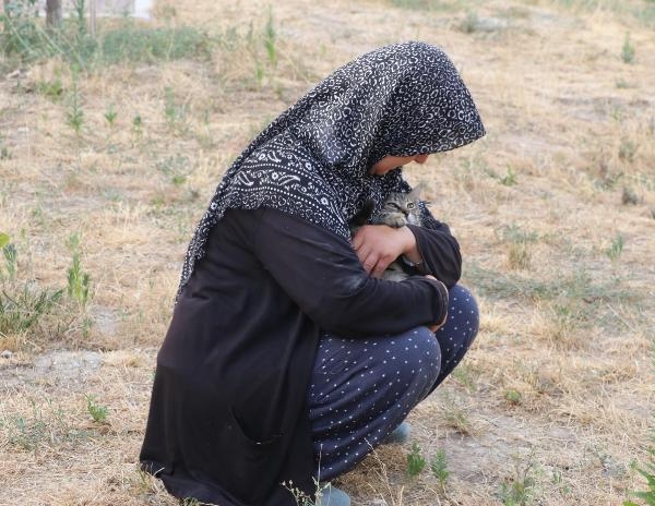 Denizli'de 2 yavru kedi öldürüldü, 1'i yaralı bulundu