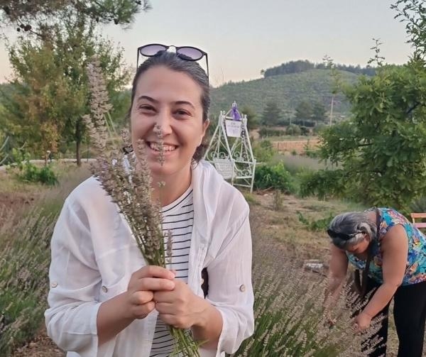 Gönüllülerin dikip hasat ettiği lavantalar öğrencilere burs oluyor