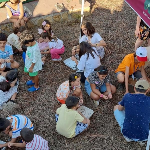 Gönüllülerin dikip hasat ettiği lavantalar öğrencilere burs oluyor