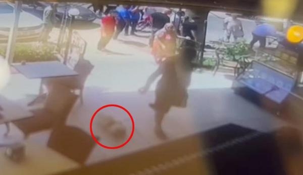 'Haki'yi tekmeyle öldüren sanığa 4 yıl istendi