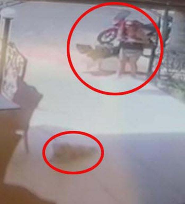 'Haki'yi tekmeyle öldüren sanığa 4 yıl istendi