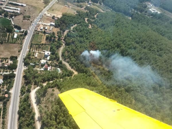 İzmir Çileme'de orman yanıyor