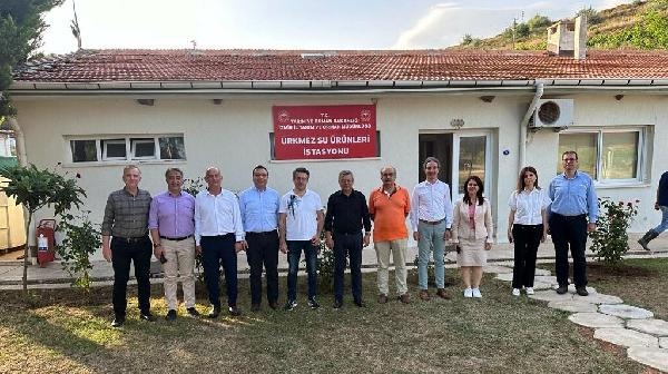 İzmir sularına 5 milyon yavru sazan bırakıldı