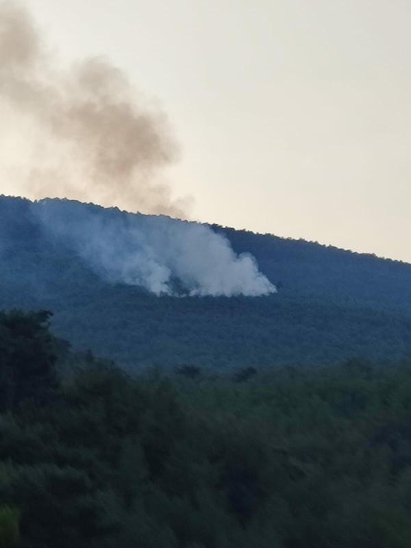 İzmir'de düşen yıldırım, ormanı yaktı