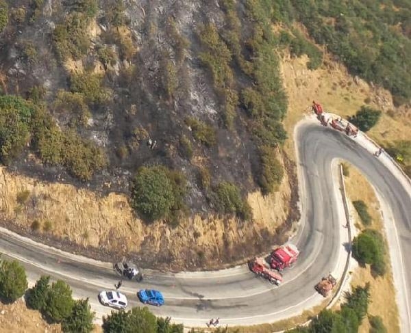 İzmir'de otomobilde çıkan yangın ormana sıçradı