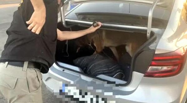 İzmir'de torbacıların kuryesine baskın!