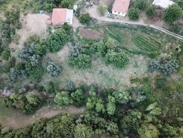 İzmir'in 4 ilçesinde uyuşturucu tarlaları