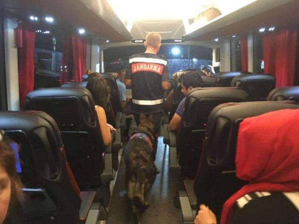 Jandarmadan uyuşturucu denetimi; 30 gözaltı