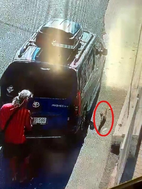 Kısırlaştırılmaya götürülen kedi, aracın camını kırıp kaçtı