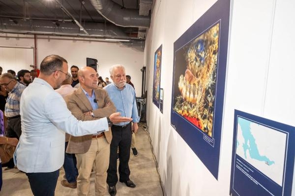 "Körfez'de tekrar çoluk çocuk yüzeceğiz"