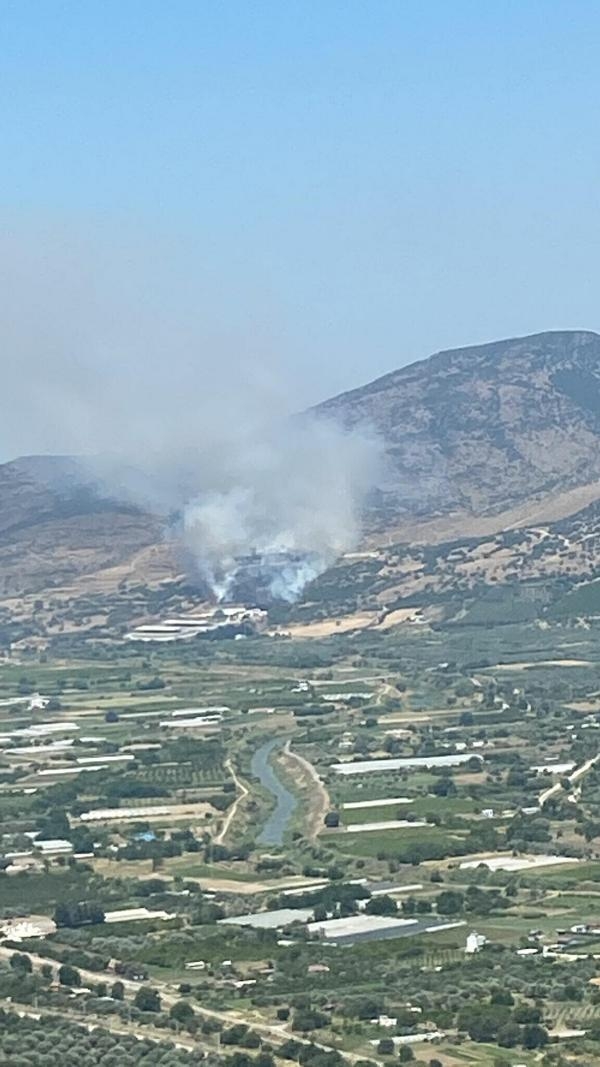 Menemen'de orman yangını