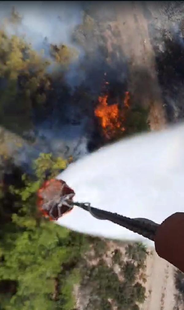 Muğla Yatağan'da orman yangını başladı