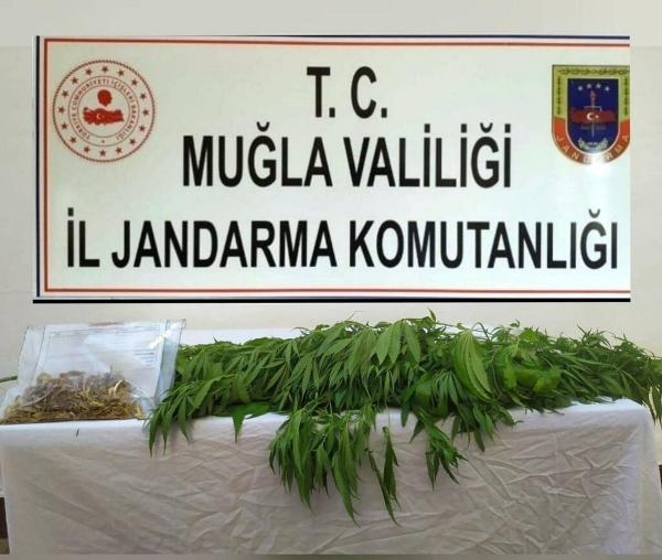 Muğla'nın 7 ilçesinde uyuşturucu operasyonu: 31 gözaltı