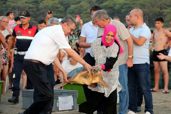 Tedavisi tamamlanan 8 deniz kaplumbağası denizle buluşturuldu