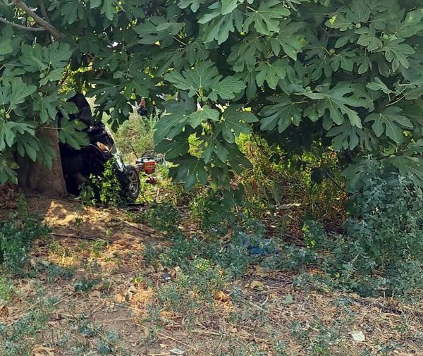 Tire'de feci kaza! İnsanlar öldü, keçiler kurtuldu