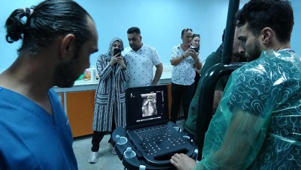 Türkiye'nin ilk 'tüp tay'ları doğacak!