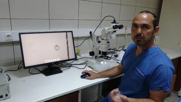 Türkiye'nin ilk 'tüp tay'ları doğacak!