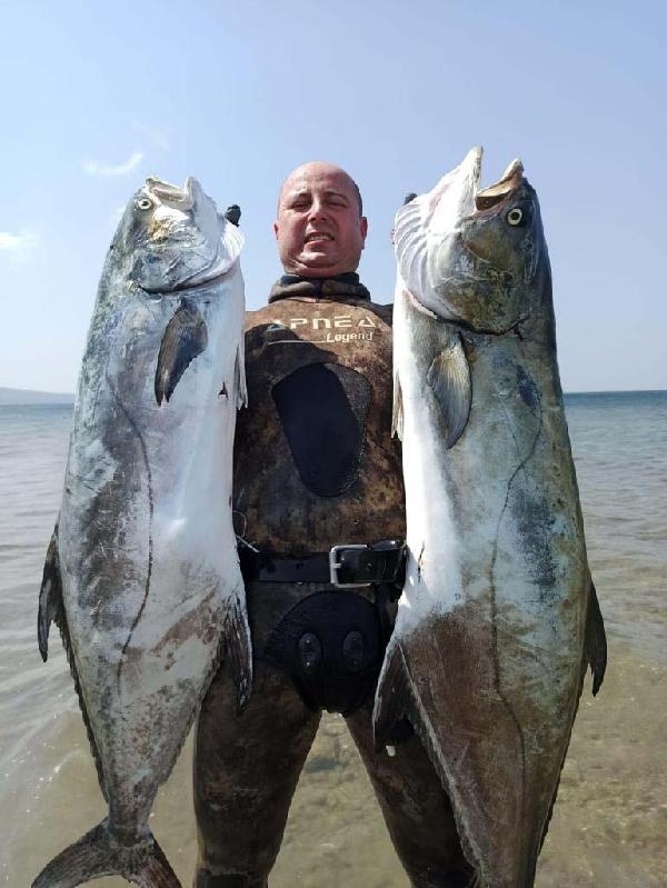 Zıpkınla 30 kiloluk 2 liça balığı avladılar