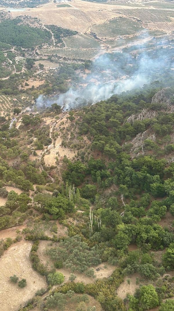 Bergama'daki yangını, 2 saatte söndürüldü