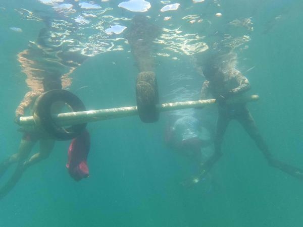Bodrum'da deniz dibi temizliğinde toplam 200 kilogram atık toplandı