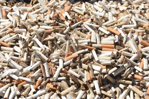 Bodrum'da deniz dibi temizliğinde toplam 200 kilogram atık toplandı