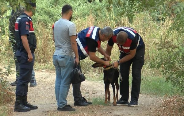 GPS takılıp aç bırakıldı, her defasında eve döndü