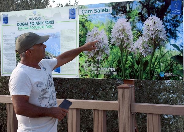 Kuşadası Belediyesi doğal botanik parkı korumaya aldı