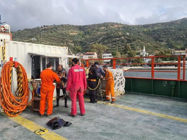 Marmara Denizi'ndeki canlı çeşitliliği yapay resiflerle artırılacak