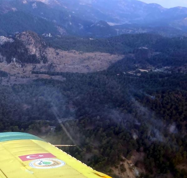 Muğla'da 3 hektar orman yandı