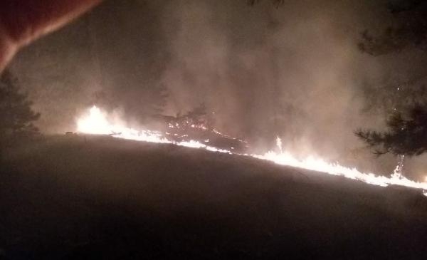 Muğla'da 3 hektar orman yandı