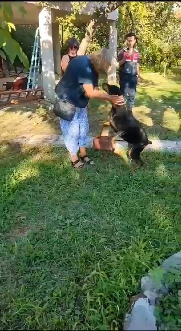 Tina, kayıp sahibini arıyor