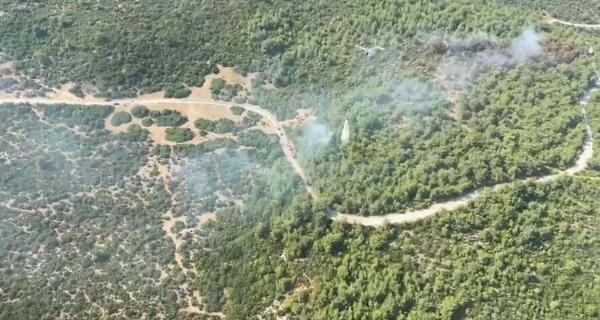 Yangın 2 uçak, 5 helikopterle söndürüldü