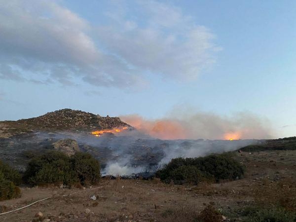 Bodrum'da 60 dönüm otluk ve makilik yandı