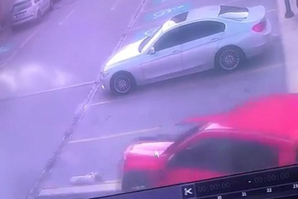 Ciple sokak köpeğinin üzerinden geçti