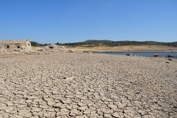 İşte Bodrum'a su veren barajın hali