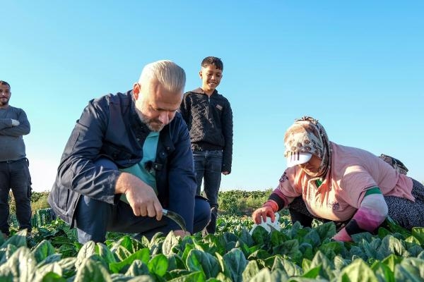 Menemen'de tarladan sofraya birlik rüzgarı