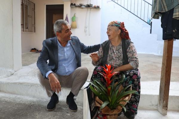 Yaşlı çınarlara belediye başkanından doğum günü sürprizi