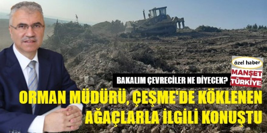 Orman Bölge Müdürü, Çeşme ağaç sökümü için konuştu