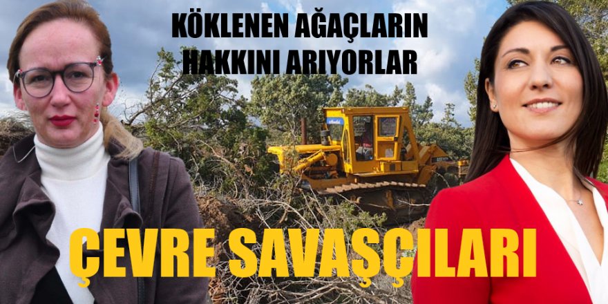 İki kadın, köklenen ağaçların hakkını arıyor