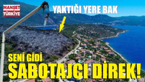 İlginç! Tam da villalar yapılabilecek bir alan yandı!