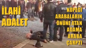 Köpeği arabaların önüne atıp öldürdü, kendisi de araba altında kaldı