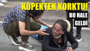 Motosikletli kadın köpekten korktu ve...