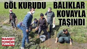 Ölmek üzere olan 3 ton balığı kovalarla taşıdılar