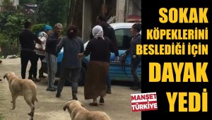 Sokak köpekleri yüzünden dövüldü