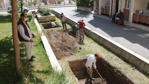 1200 kiliseye adı verildi, mezarı Sivas'ta aranıyor
